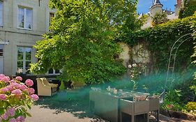 Vue Sur Chateau Et Loire